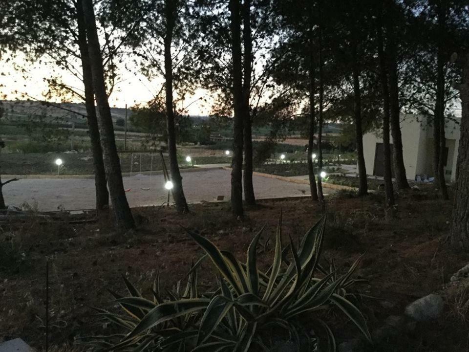 Case Barrera Porto Palo Esterno foto